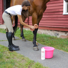 Absorbine Bigeloil liniment after exercise may ease soreness and promote recovery.