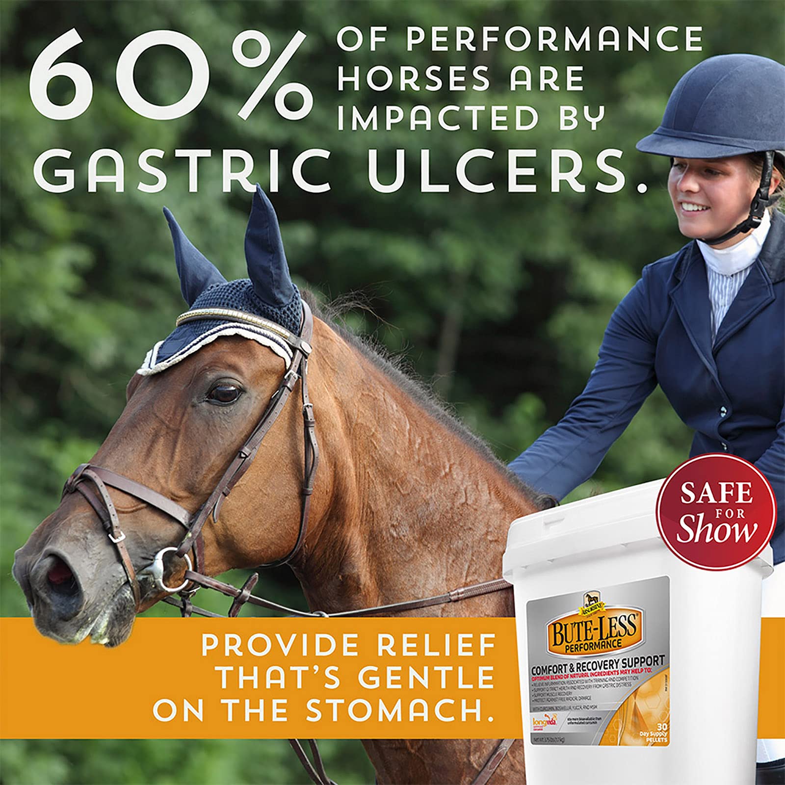 Absorbine Bute-Less aids active horses with post-workout muscle recovery