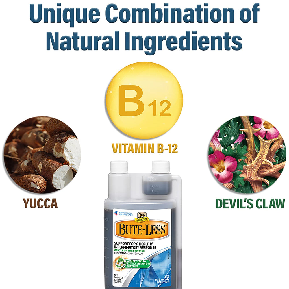 Absorbine Bute-Less on a horse in a stall suggests gentle daily support.