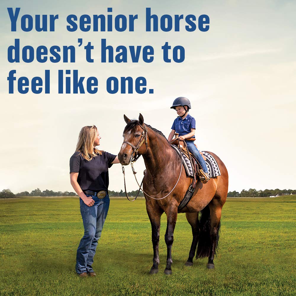 Absorbine Bute-Less horse nose-application image suggests easy administration.