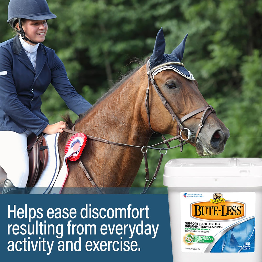 Absorbine Bute-Less measuring-dispensing scene showing easy dosing in stable.