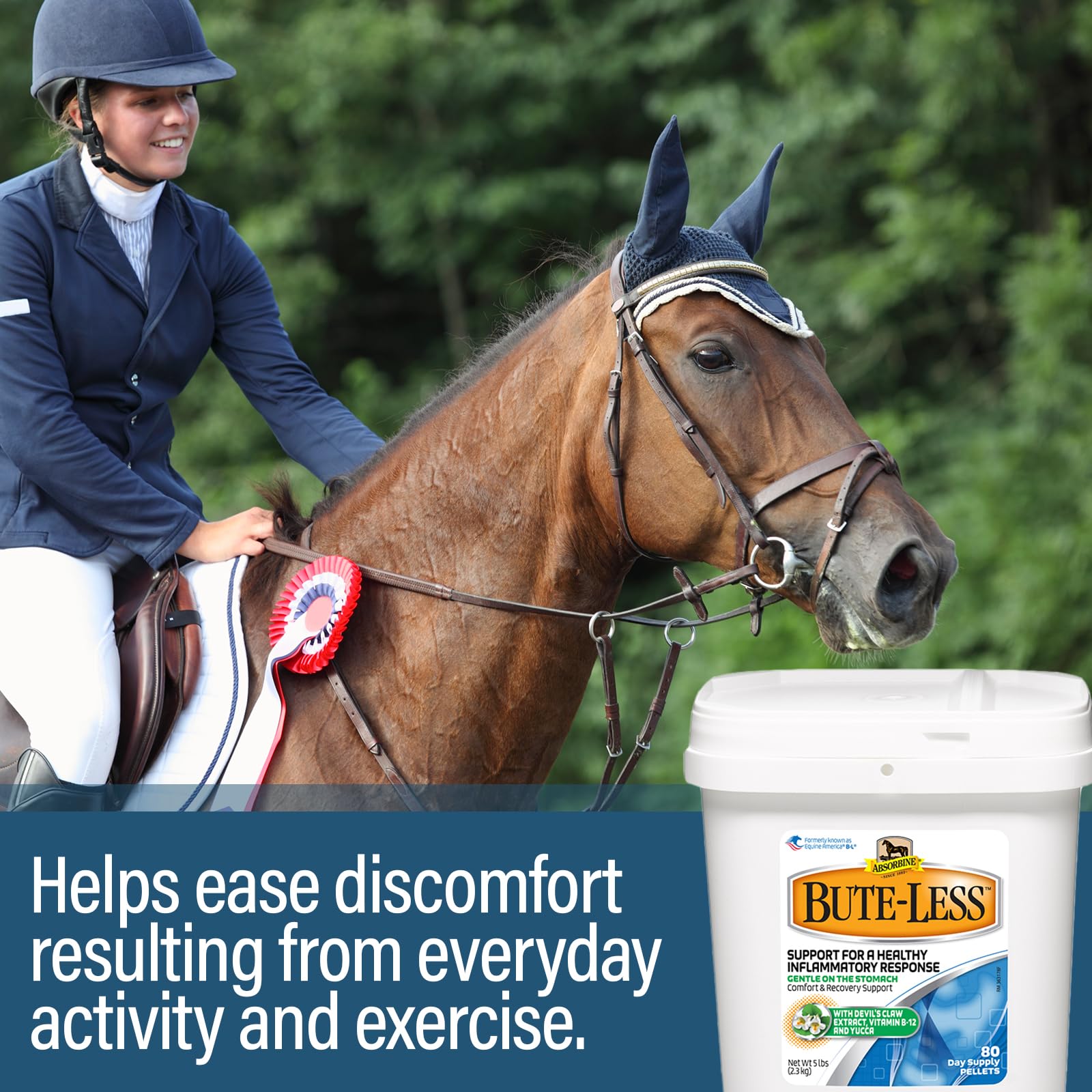 Absorbine Bute-Less packaging showing 80-day supply value.