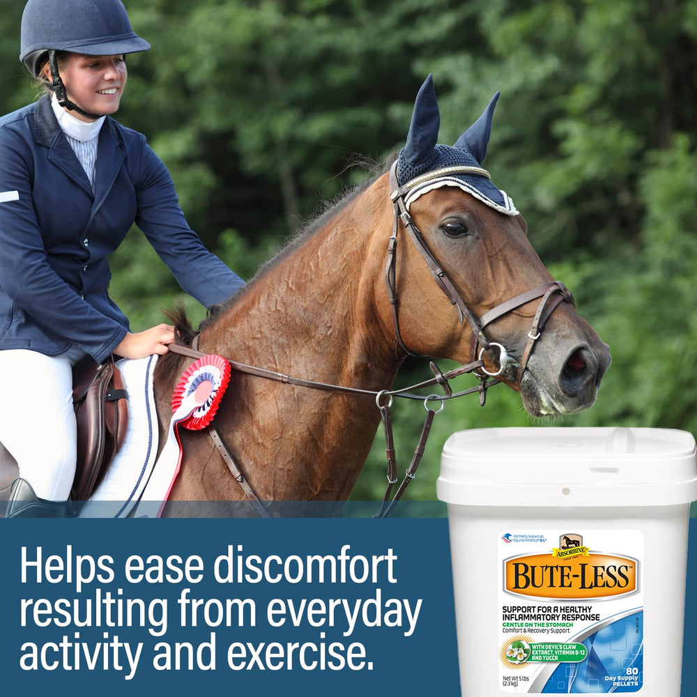 Absorbine Bute-Less packaging showing 80-day supply value.