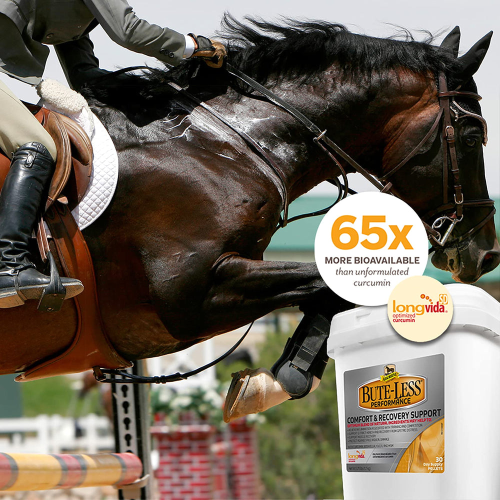 Absorbine Bute-Less tub in stable setting emphasizes everyday use