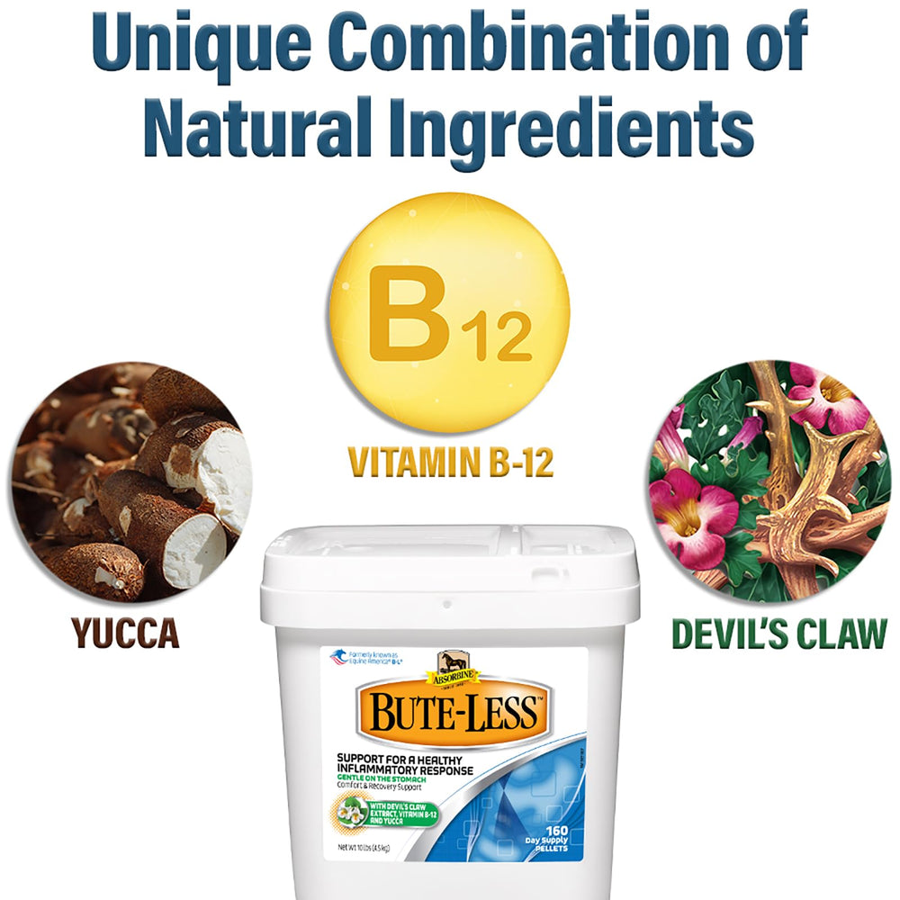 Absorbine Bute-Less bottle label close-up highlights long-term comfort support.