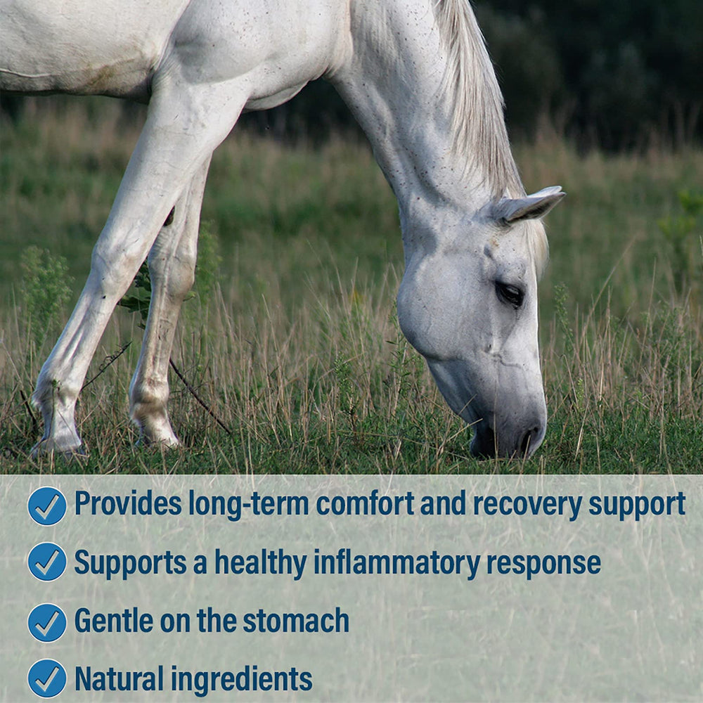 Absorbine Bute-Less Yucca ingredient label supports healthy inflammatory response visuals.