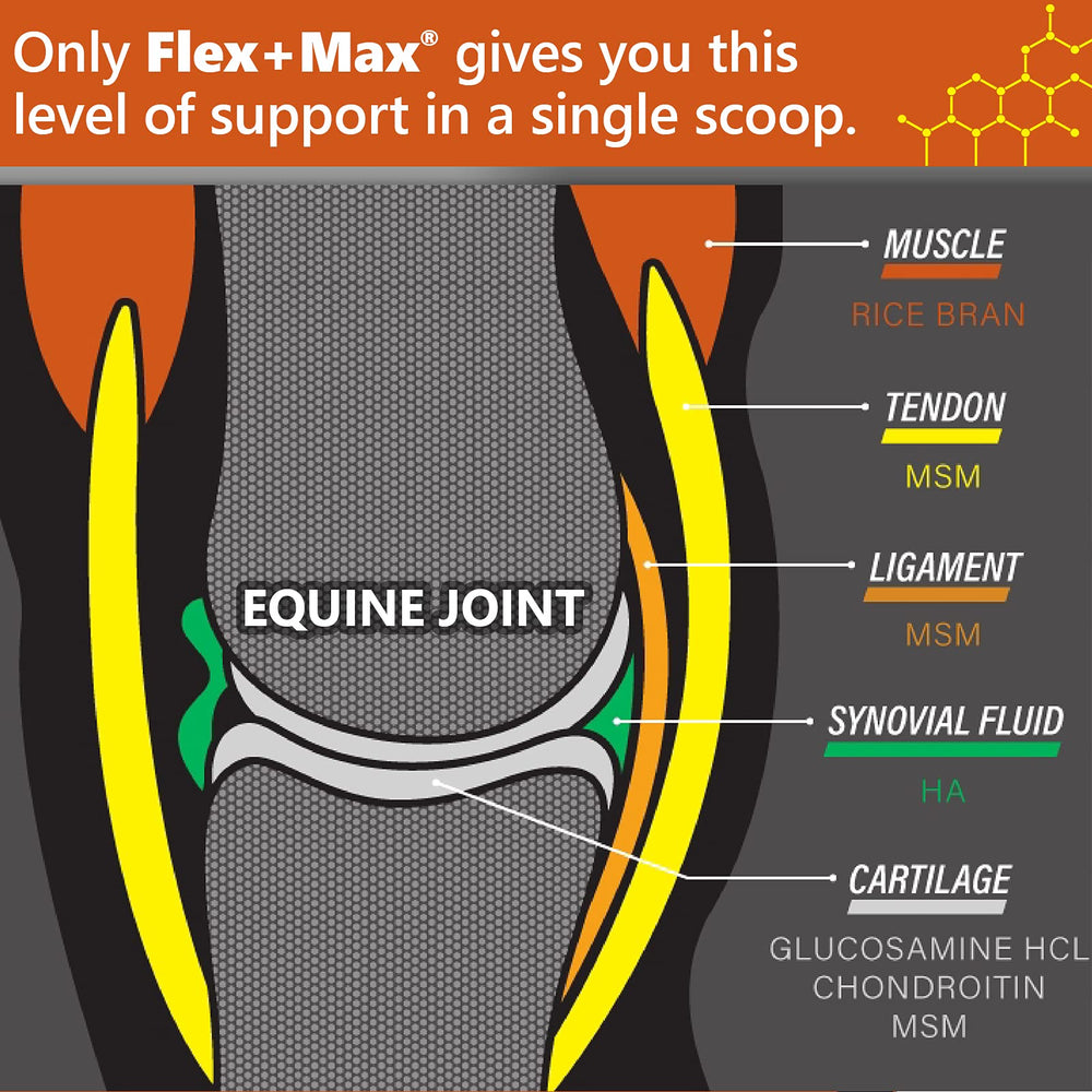 Absorbine Flex+Max pellets close-up highlighting potent glucosamine MSM blend for joints.
