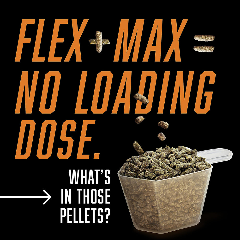 Absorbine Flex+Max daily-dose-dispensing demonstrates once-daily supplementation routine.