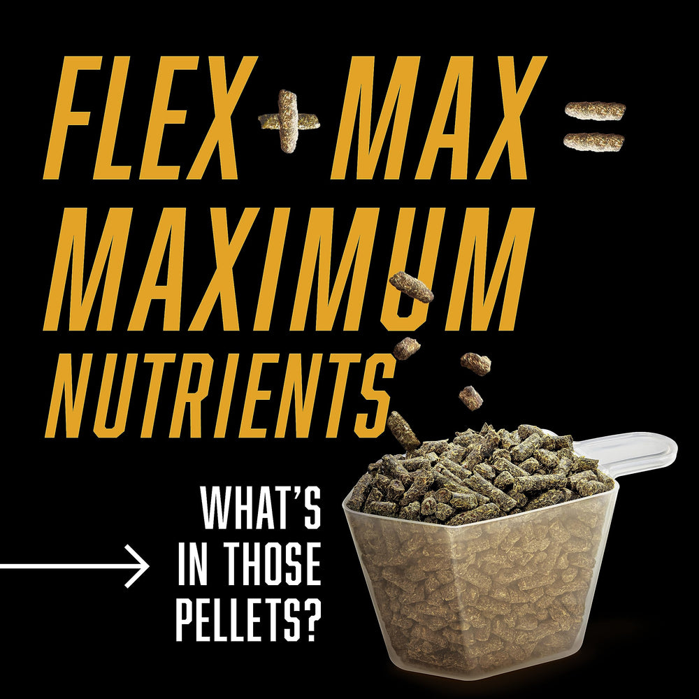 Absorbine Flex+Max flaxseed-content visual hints at nourishing fats for joints.