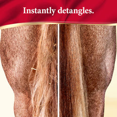 Absorbine ShowSheen horse coat shine on a healthy looking coat