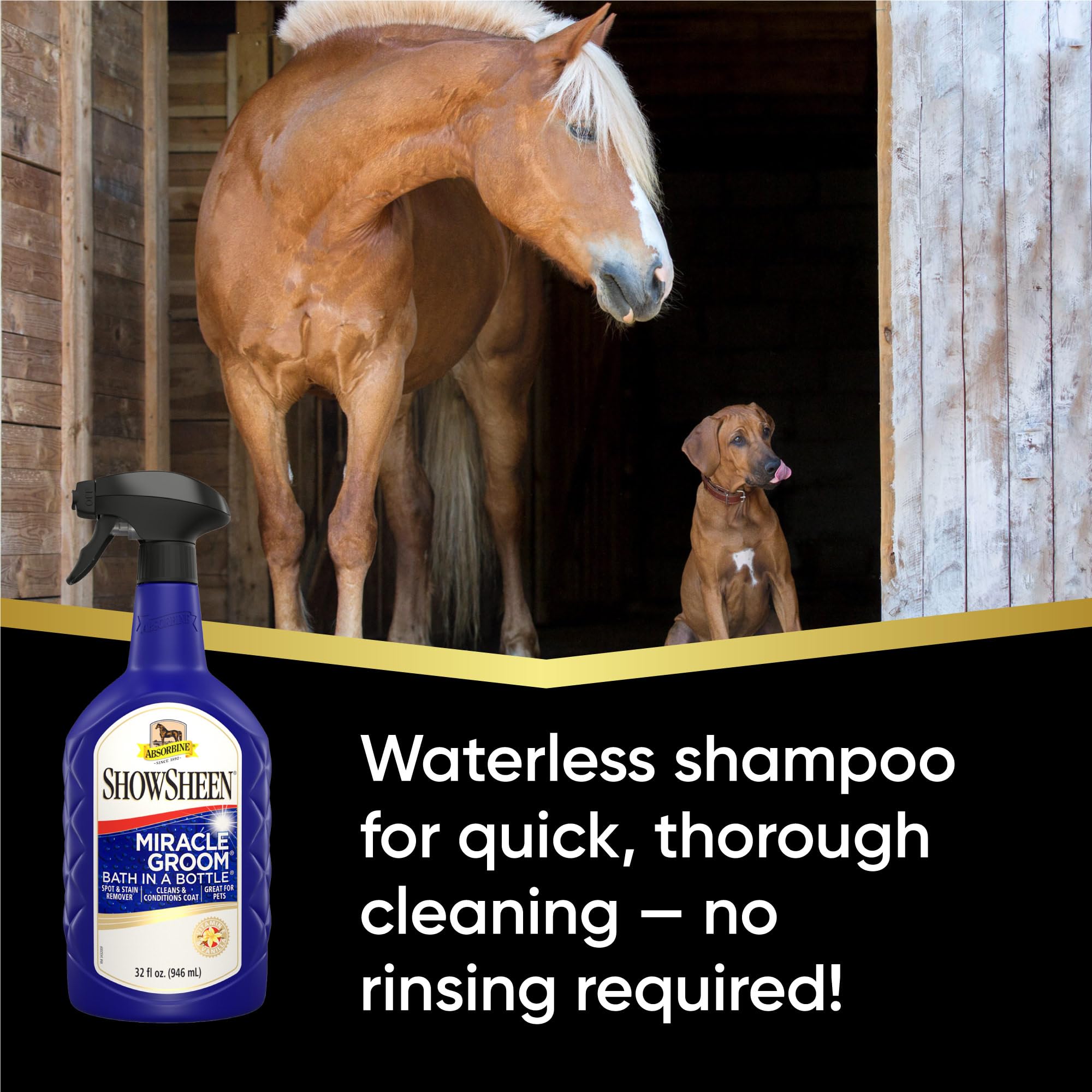 Absorbine ShowSheen Miracle Groom lifts dirt and brightens color on the coat
