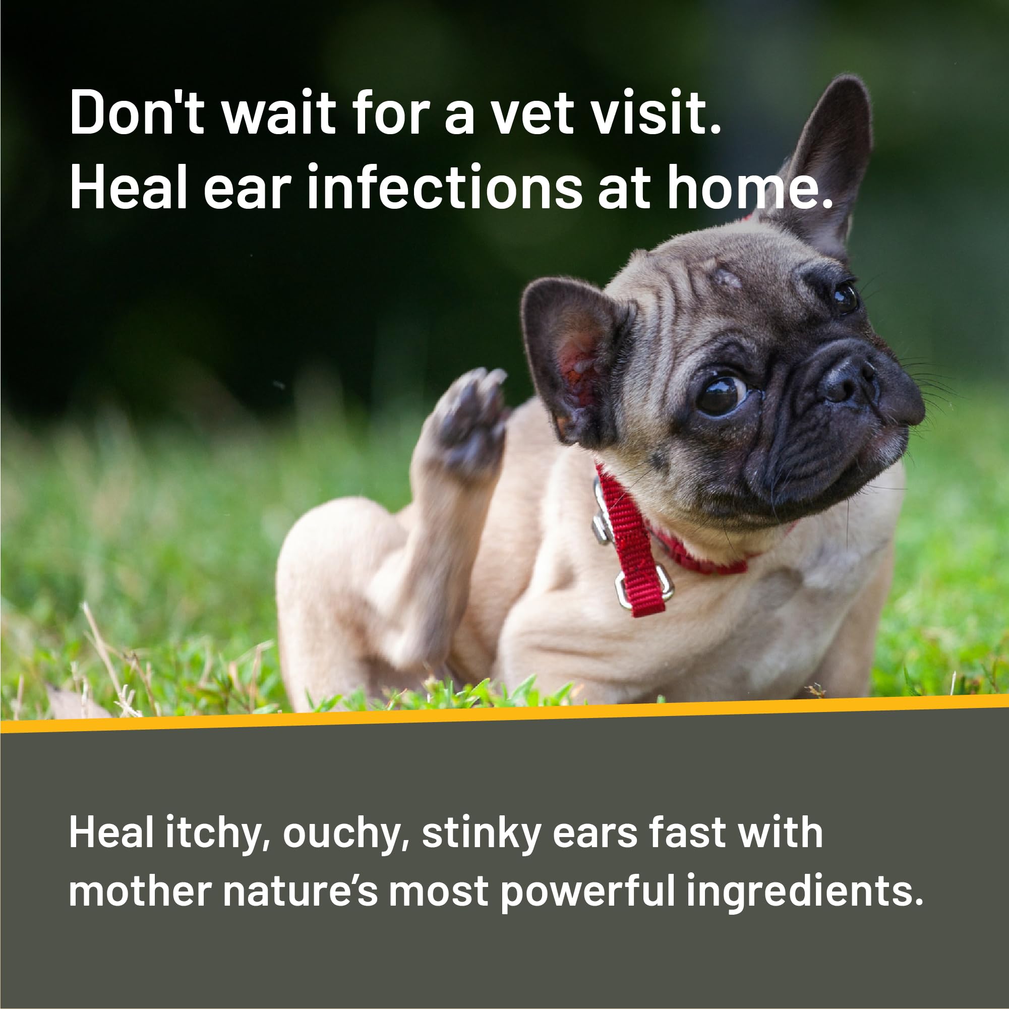 Absorbine Silver Honey application for dogs and cats shows quick, simple use.