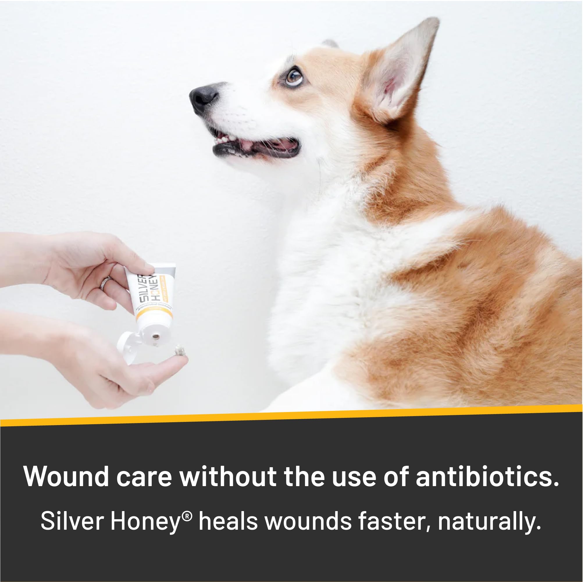 Absorbine Silver Honey cat application on irritated skin for calming relief.