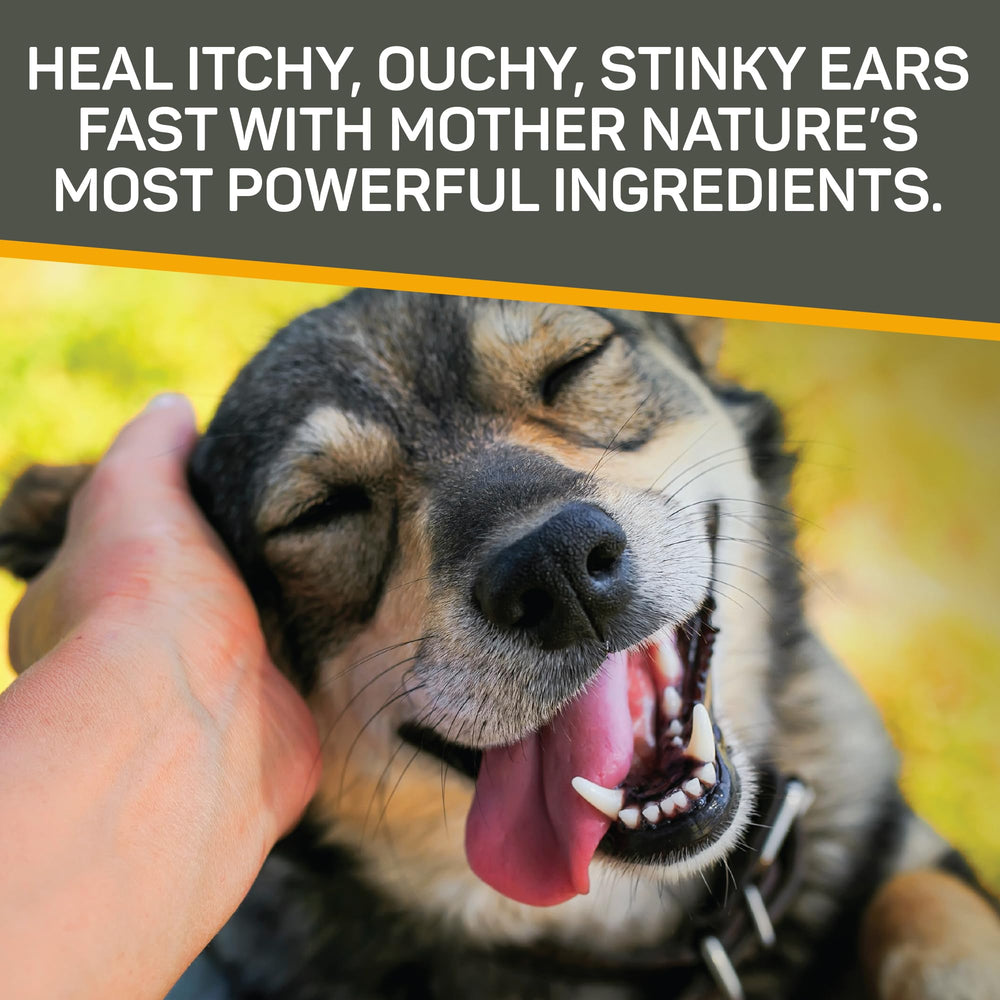 Absorbine Silver Honey ear care in use on a dog during routine