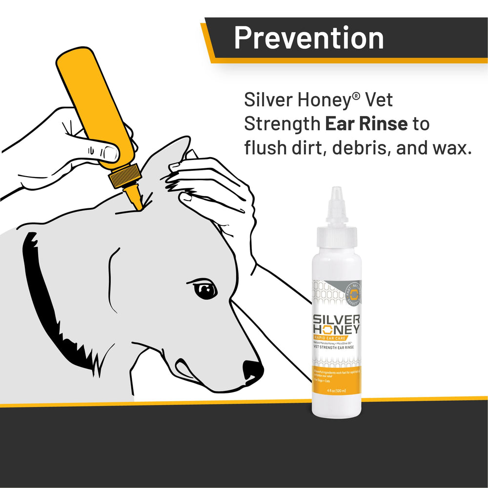 Absorbine Silver Honey ear care action demonstrates simple application and gentle debris removal.