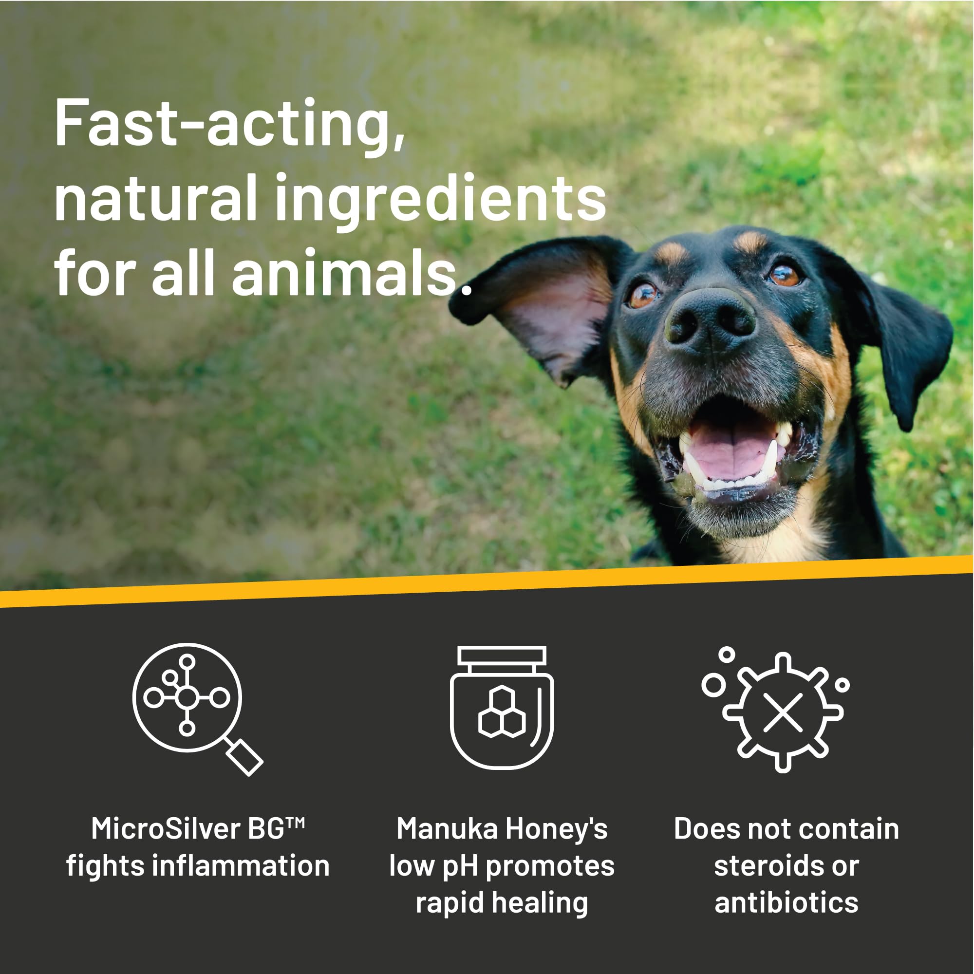 Absorbine Silver Honey ear cleaning application demonstrates easy-to-use rinse in messy ears.