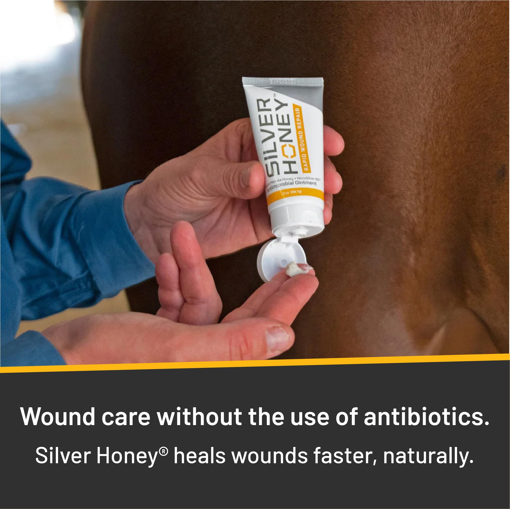 Absorbine Silver Honey ointment softening an old scab for removal.