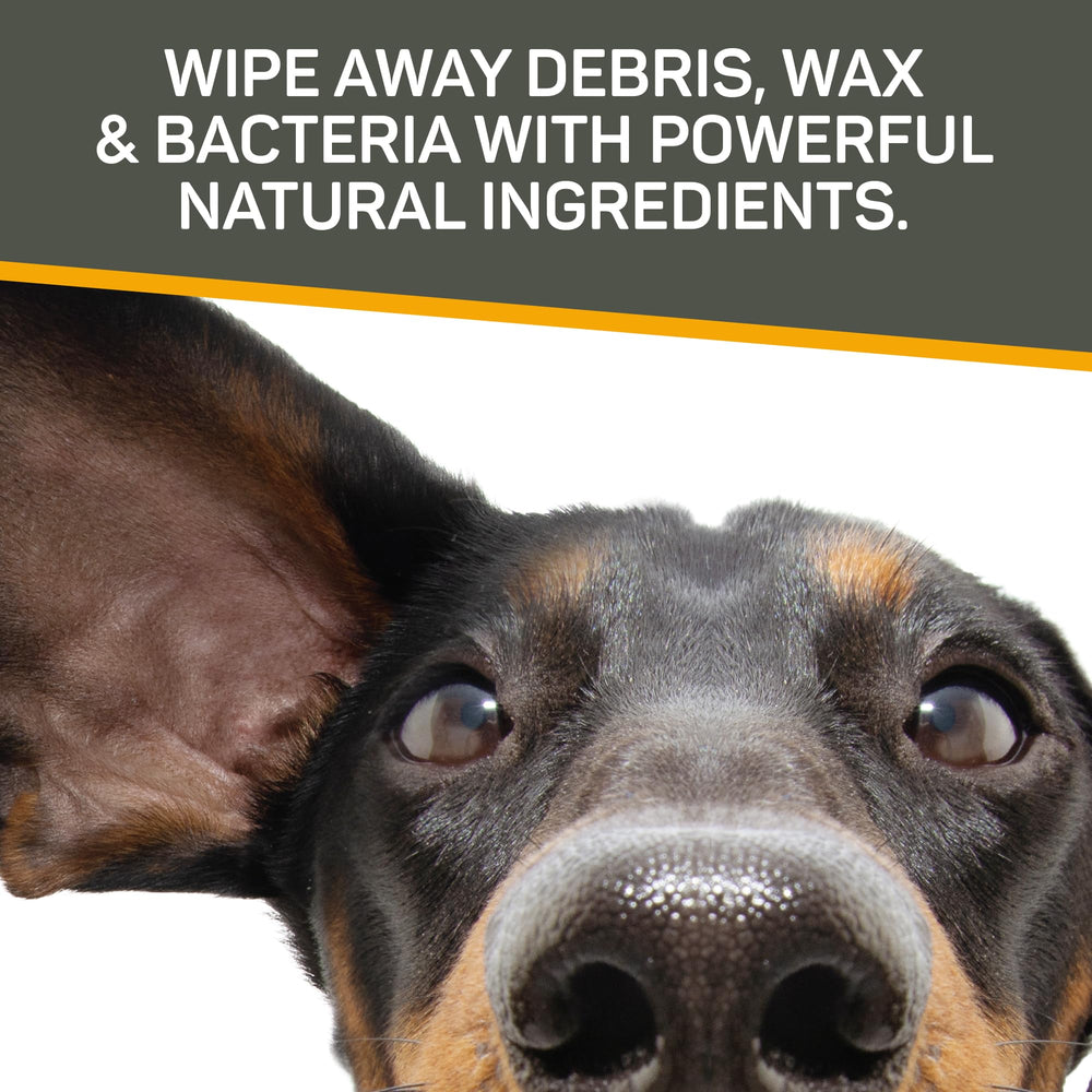 Absorbine Silver Honey wipes with Manuka honey for gentle, skin-friendly cleaning.