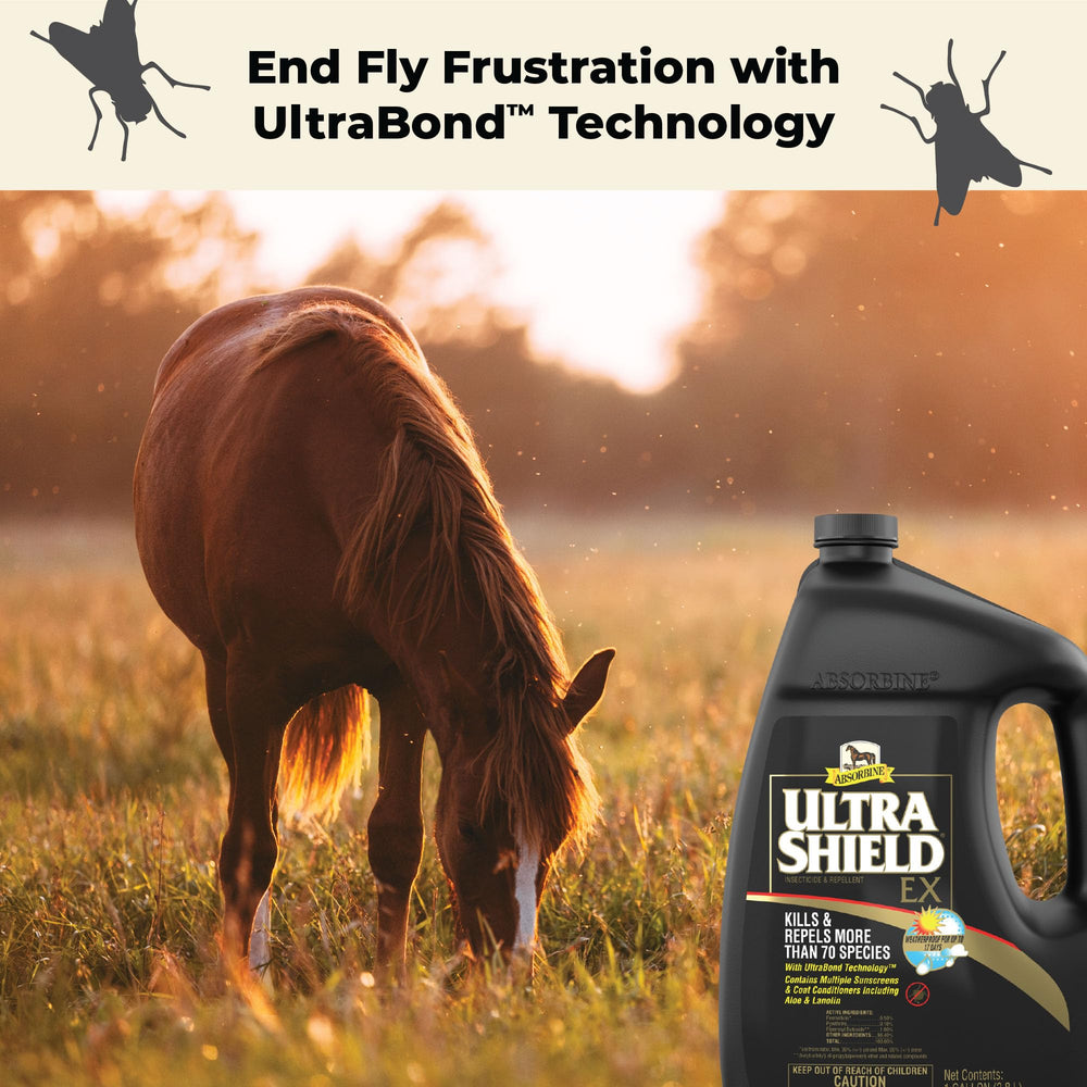 Absorbine UltraShield EX applied on a dog during outdoor activities for pest prevention