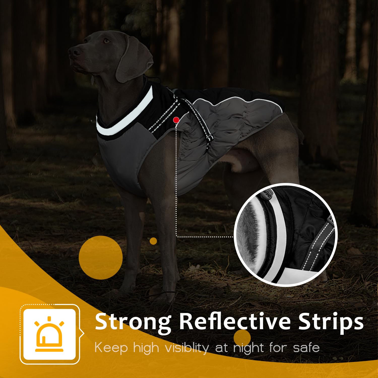 Abuandi adjustable buckle neck coat ensures a snug fit for small to large dogs