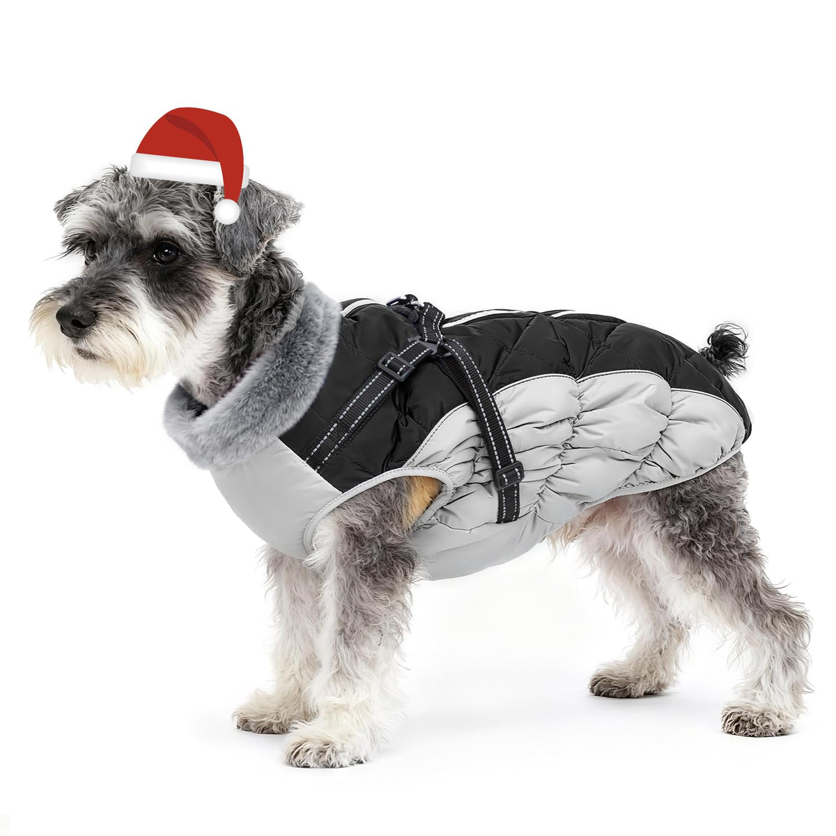 Abuandi dog winter coat with built-in harness and back zipper for secure cold-weather walks
