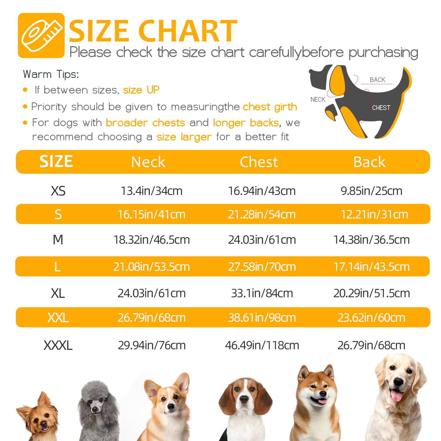 Abuandi waterproof windproof dog coat shields rain and snow during outdoor adventures