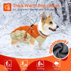 Abuandi dog winter coat waterproof windproof protection in harsh weather.