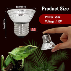 Abustle pig reptile terrarium bulbs mimic sun for terrarium activity and digestion