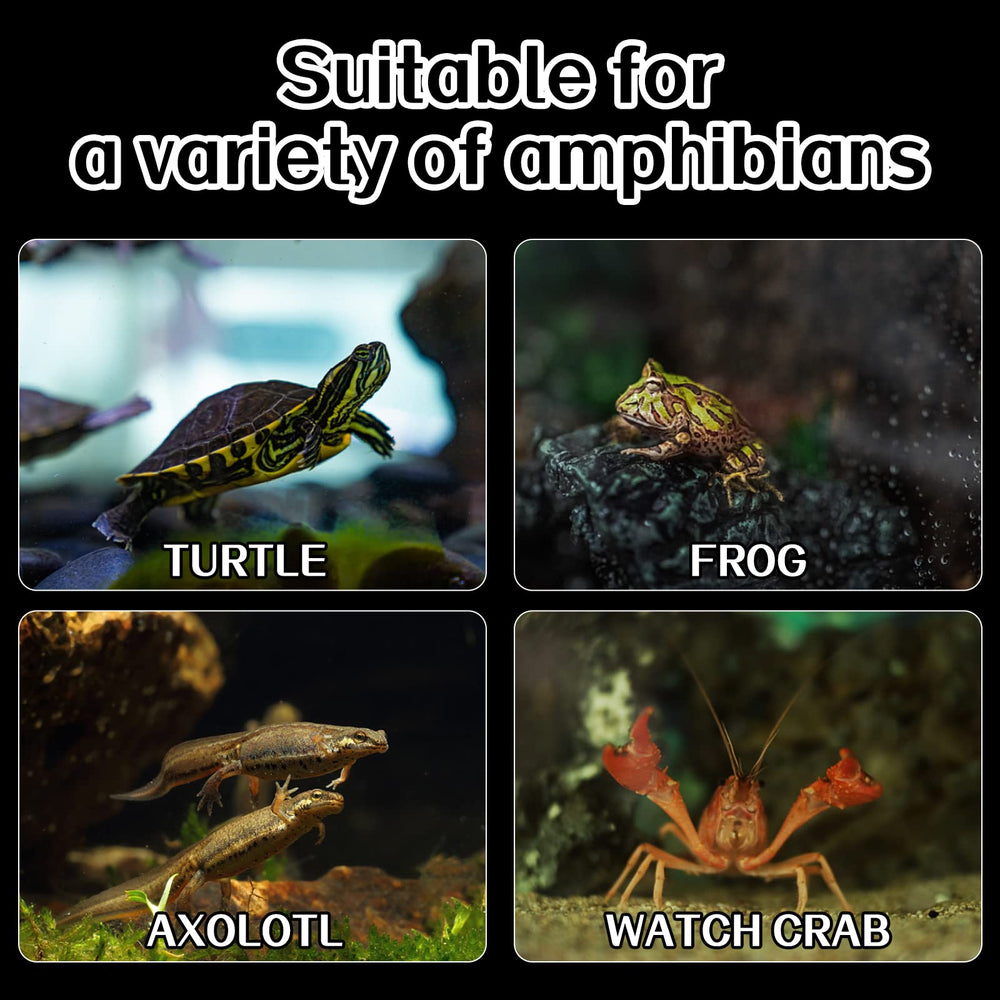 Abustle pig Turtle Basking Platform in aquarium setup demonstrates versatile placement