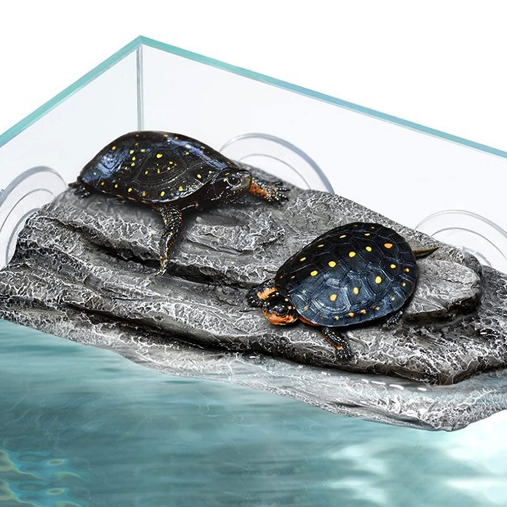 Abustle pig Turtle Basking Platform suction cups close-up emphasizes reliable attachment