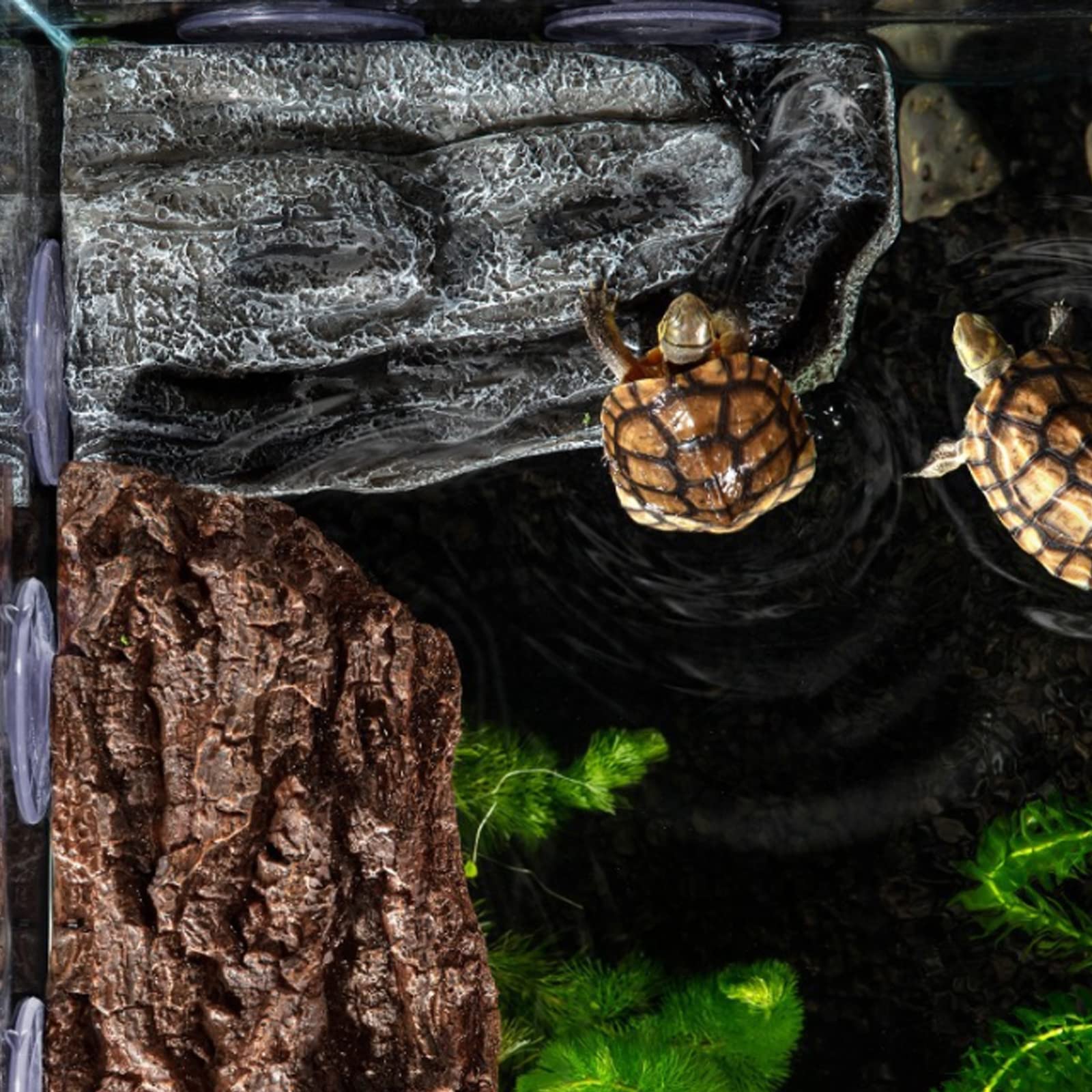 Abustle pig Turtle Basking Platform top view highlighting natural texture ideal for climbing