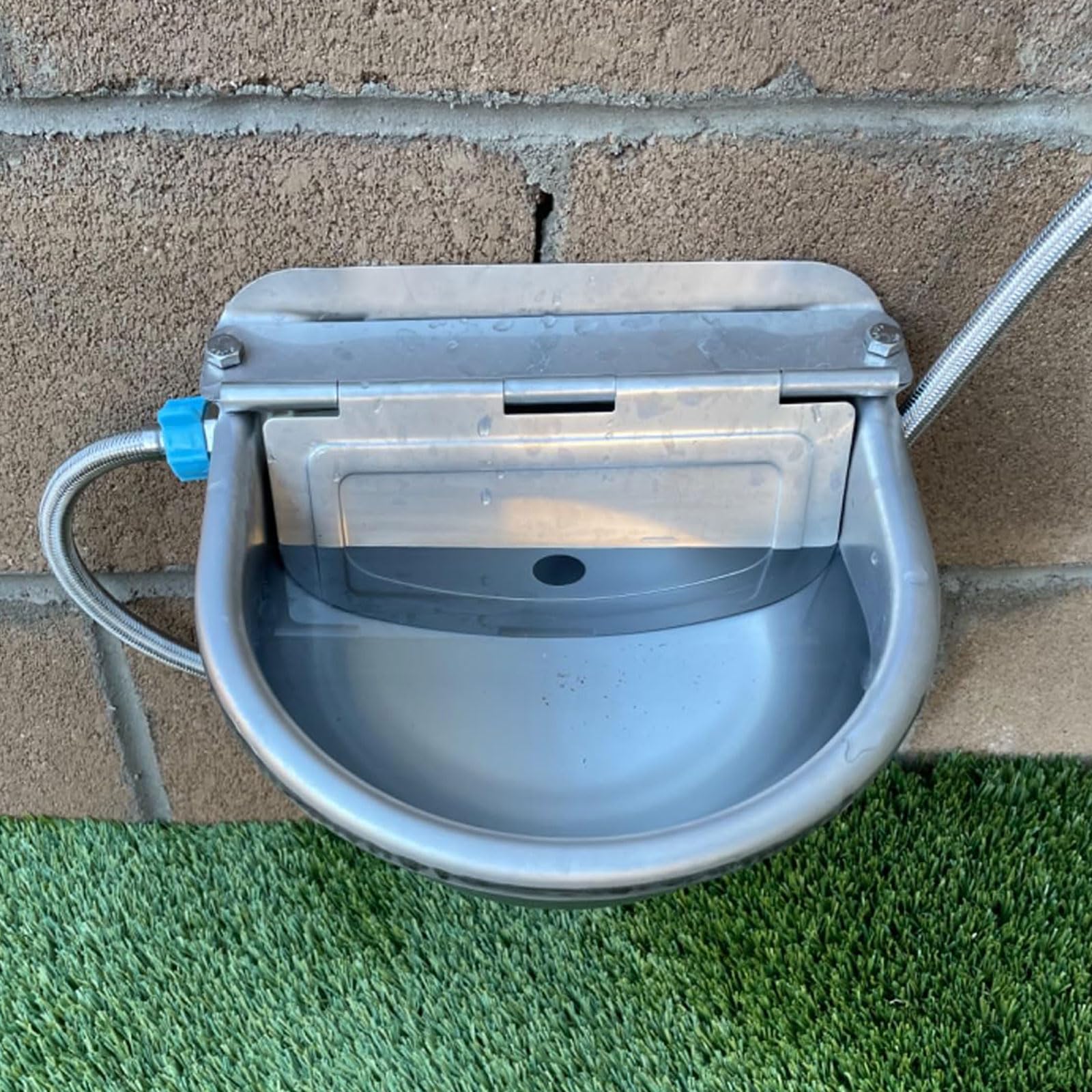 Abustle pig water bowl in use with pig and dog in a barn setting