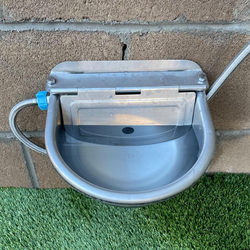 Abustle pig water bowl in use with pig and dog in a barn setting