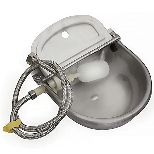 Abustle pig waterer installation setup in courtyard shows easy mounting.