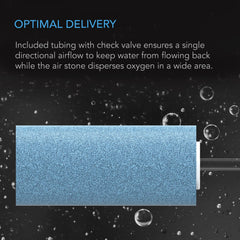AC Infinity Air Pump 45GPH tubing and valves layout emphasizes secure one-way flow for reliable aeration.
