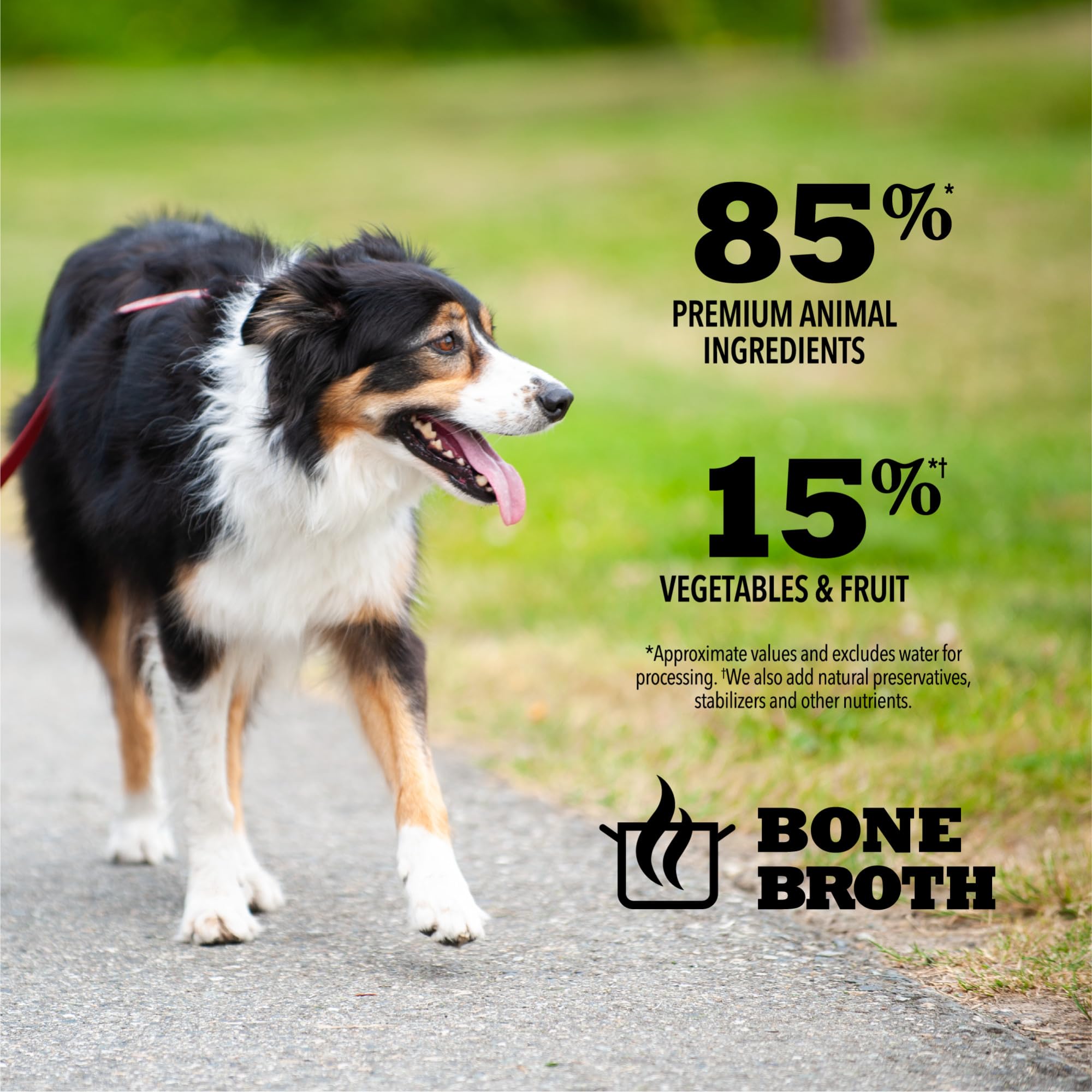 ACANA high-protein grain-free can — supports active dogs with real animal ingredients.