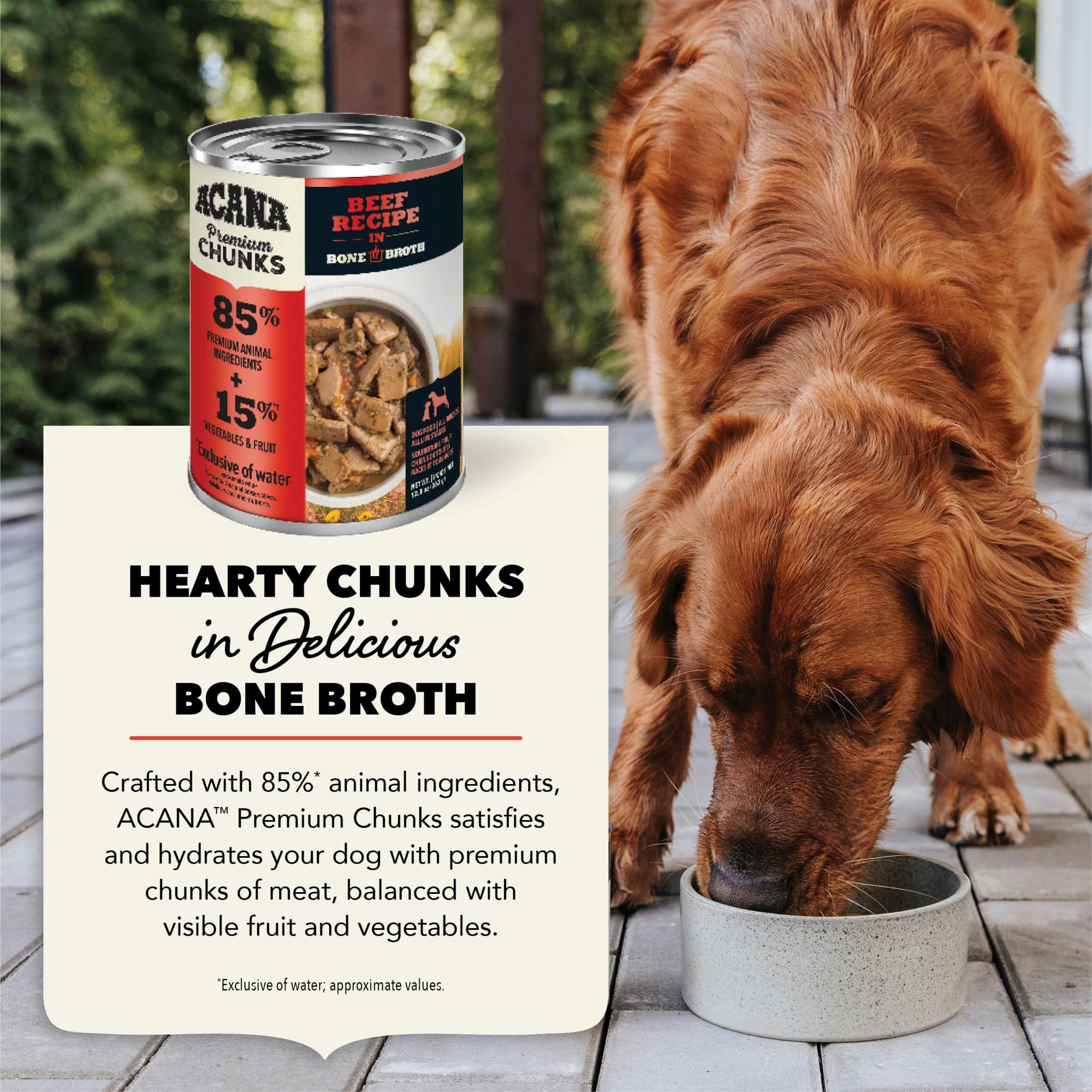 ACANA canine meal—toppers on kibble with crave-worthy flavor.