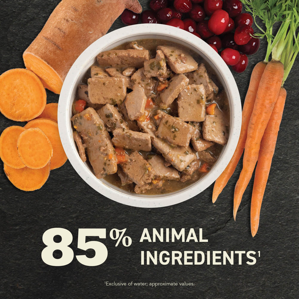 ACANA Premium Chunks Duck Recipe kibble topper enhances palatability and moisture.