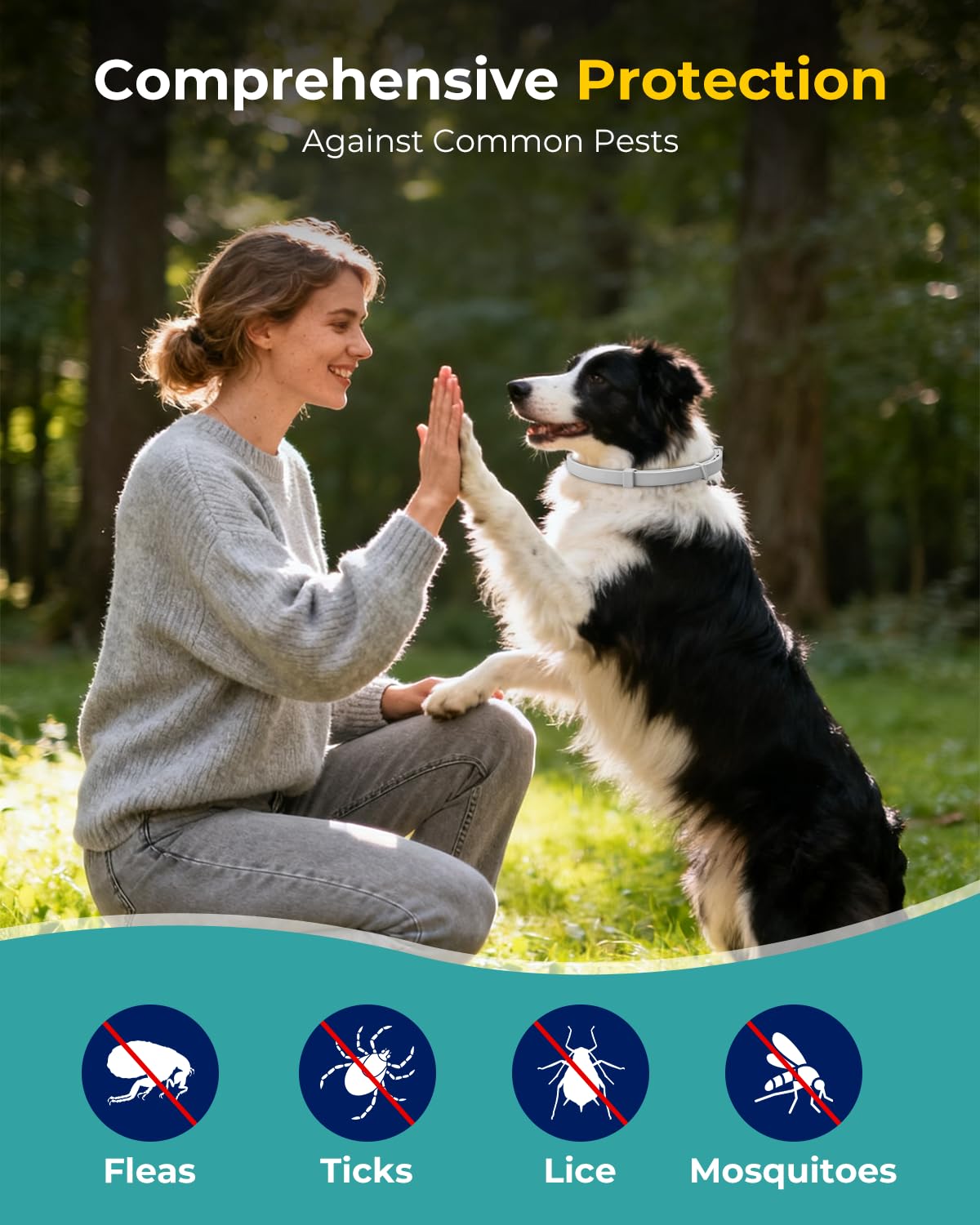 Accecraft flea collar on the dog's neck shows adjustable, comfortable fit