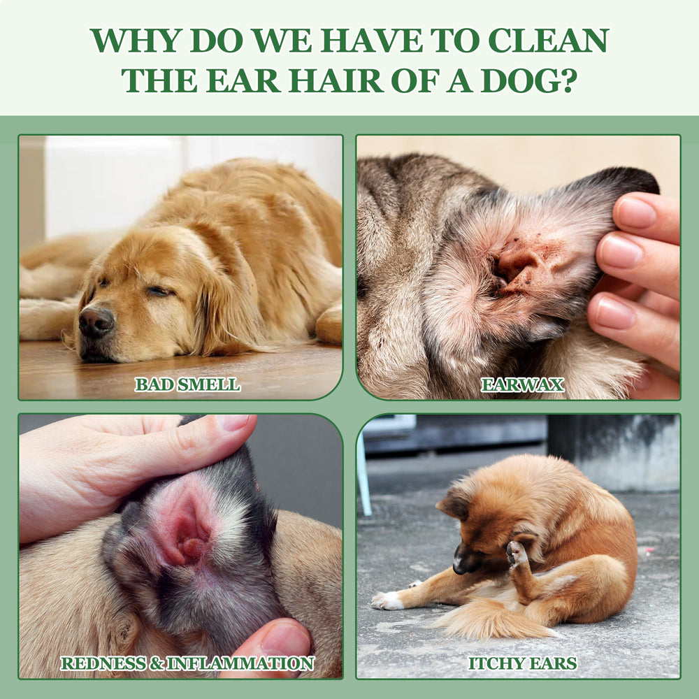 Accyoiu dog ear powder closeup shows gentle application and wax reduction.