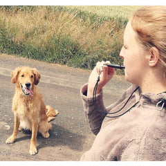 ACME 211-5 black dog training whistle in-hand showcasing compact UK-made design.