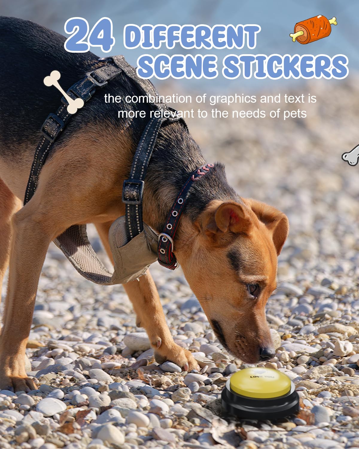 Acools dog mat shows button placements for organized training.