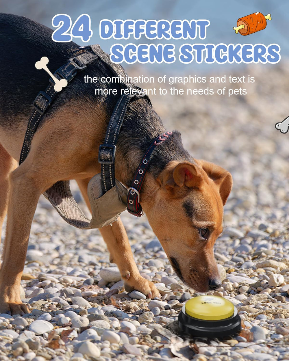 Acools dog mat shows button placements for organized training.