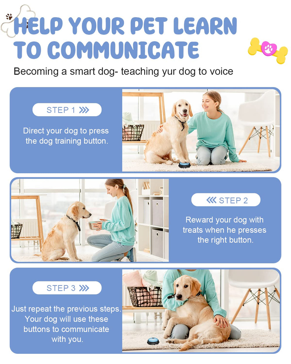 Acools dog-buttons-set-on-table demonstrates bright color variety for daily use.
