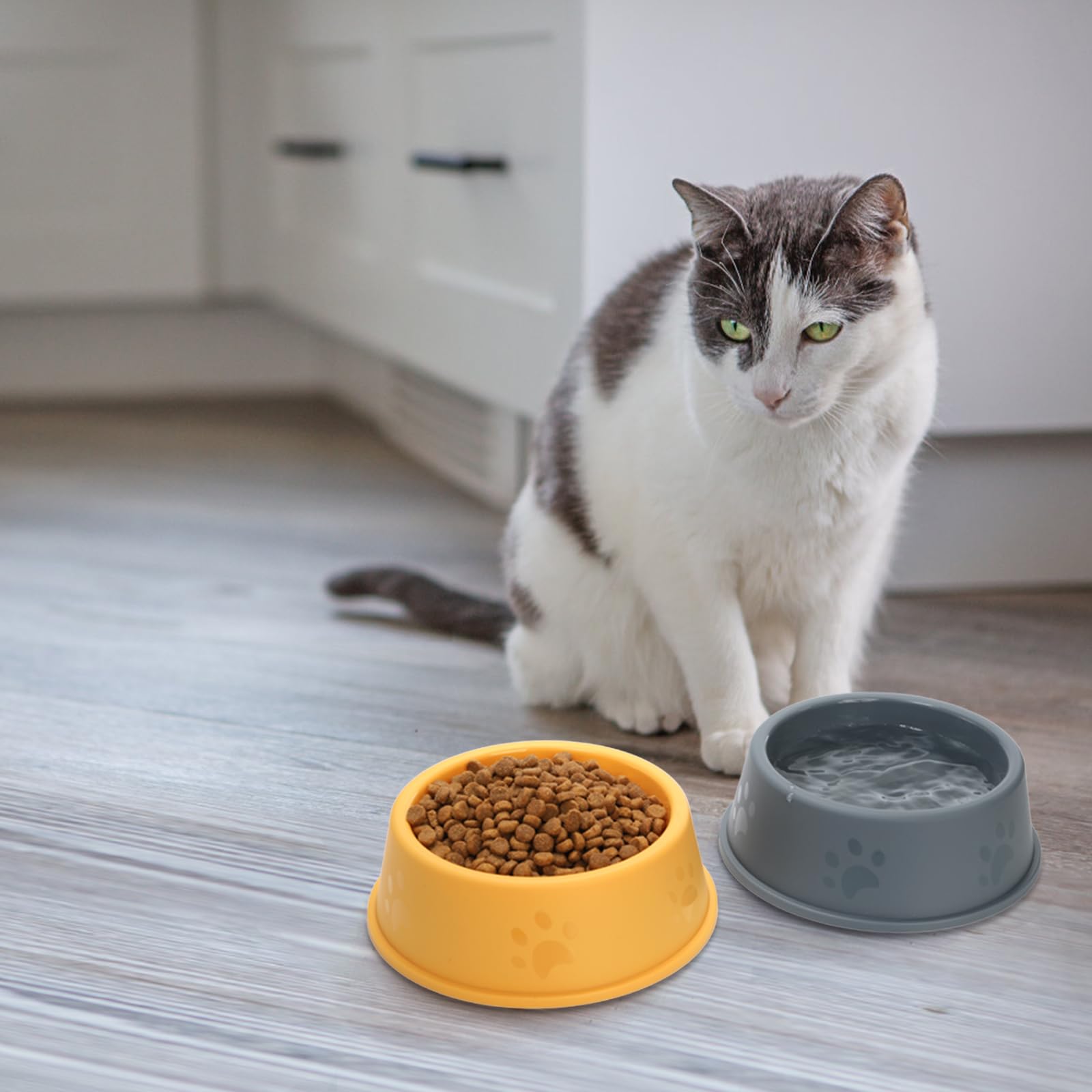 Acshio bowls suited for puppy and cat party setups and gifting