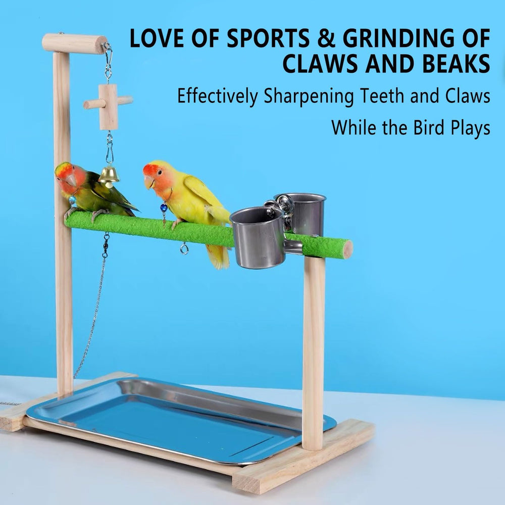 Acsist Bird Playstand with feeder cups supports easy meals during play.
