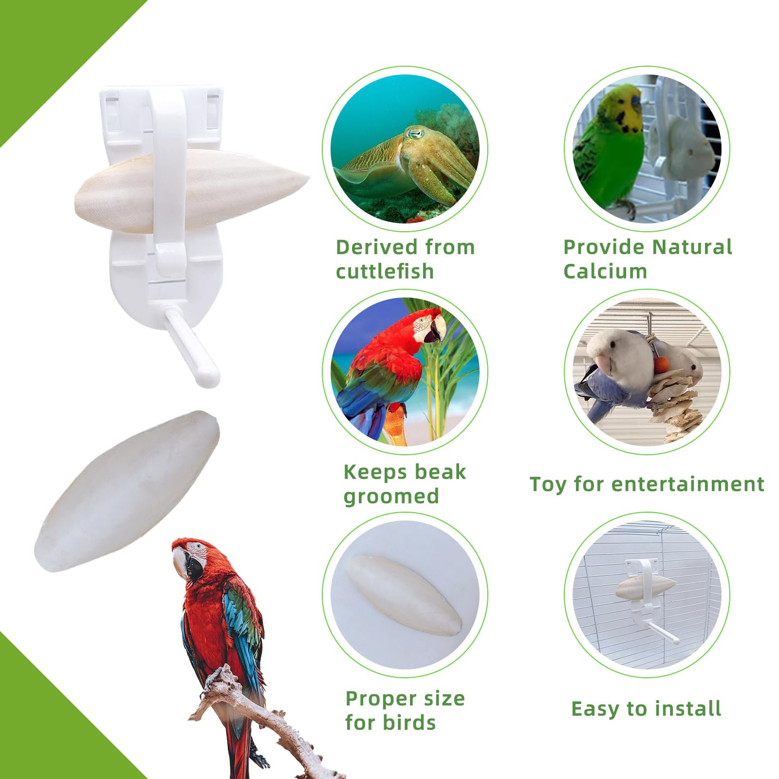 Acsist cuttlebone for birds supports calcium intake and mineral enrichment.