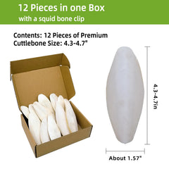 Acsist cuttlebone clip-on cage demonstrates easy cage placement for minerals.