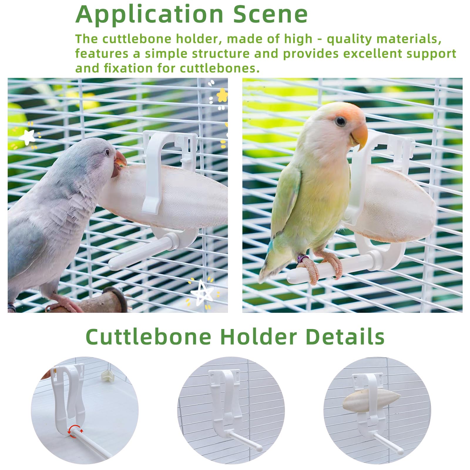 Acsist cuttlebone for all birds supports diverse calcium needs.