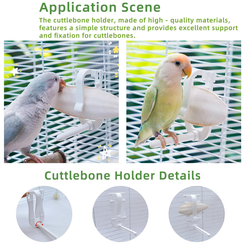 Acsist cuttlebone for all birds supports diverse calcium needs.